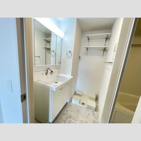 洗面所 (三面鏡付き洗面化粧台)