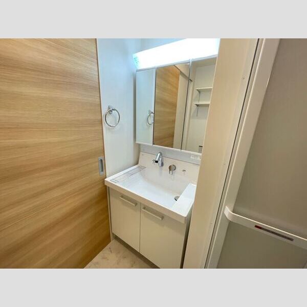 洗面所 (三面鏡付き洗面化粧台)