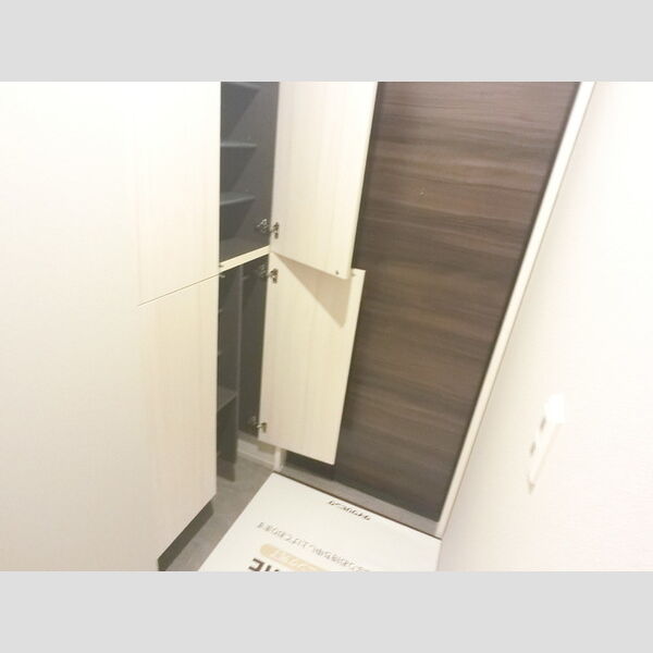 玄関 (玄関入り口・収納)