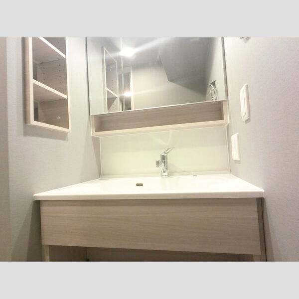 洗面所 (三面鏡付きカウンター洗面)