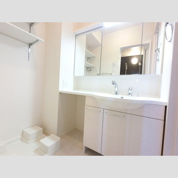 洗面所 (三面鏡付きカウンター洗面)