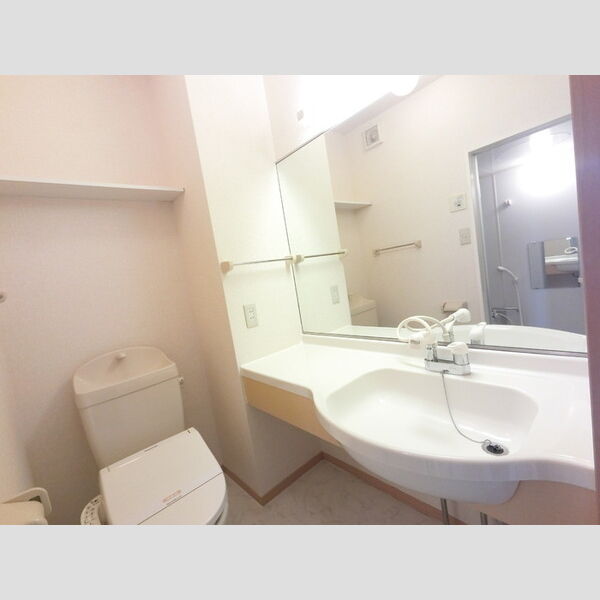 洗面所 (洗髪洗面化粧台)