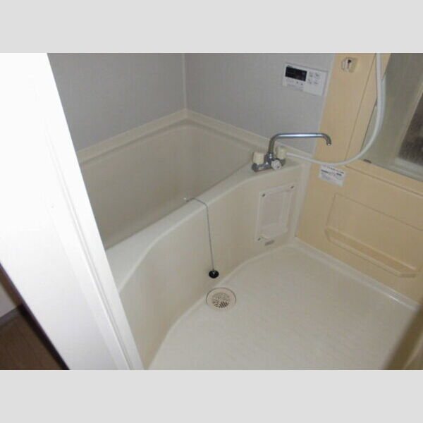 バス