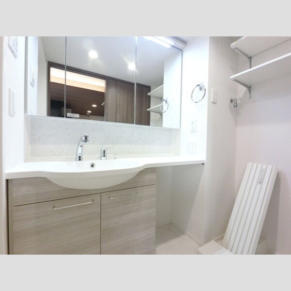 洗面所 (洗髪洗面化粧台)