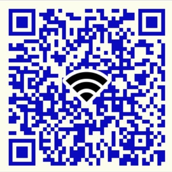 その他 (インターネット使い放題)