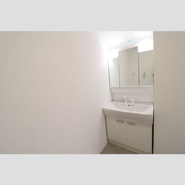 洗面所 (洗髪洗面化粧台)