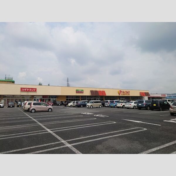 現地周辺 (ヤオコー太田小舞木町)