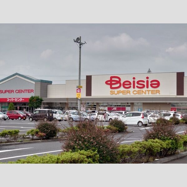 現地周辺 (ベイシアおおたモール店)