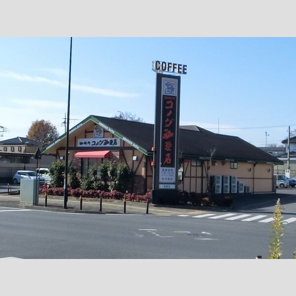 現地周辺 (コメダ珈琲店佐野店(266m))