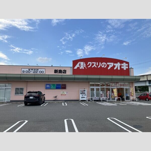 現地周辺 (クスリのアオキ新島店まで約350mです!)