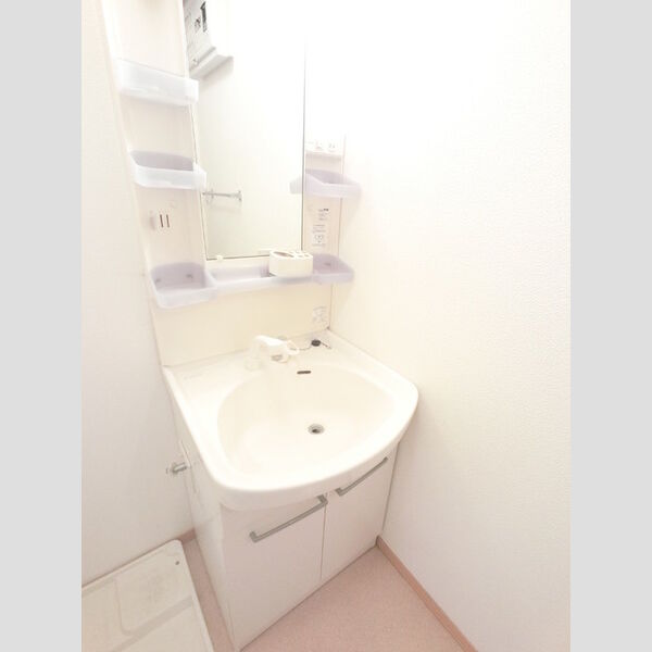 洗面所 (シャワーヘッド付き洗面台です)