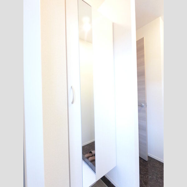 玄関 (広めのBoxは収納力ばっちり。トールタイプのミラーついてます。)