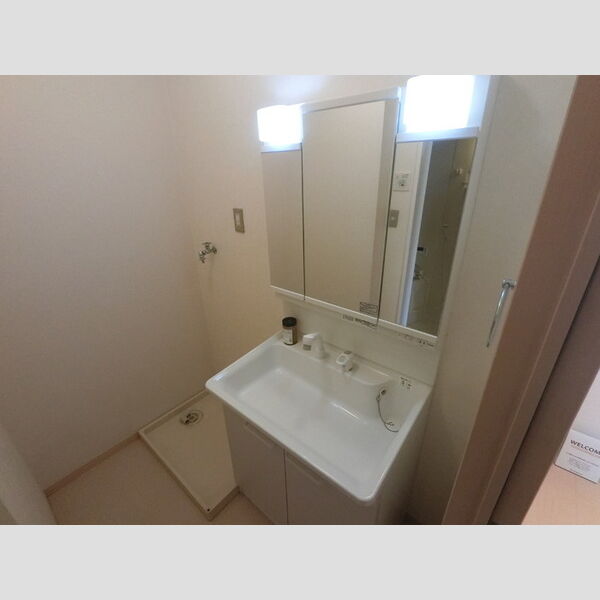 洗面所 (洗髪洗面化粧台)