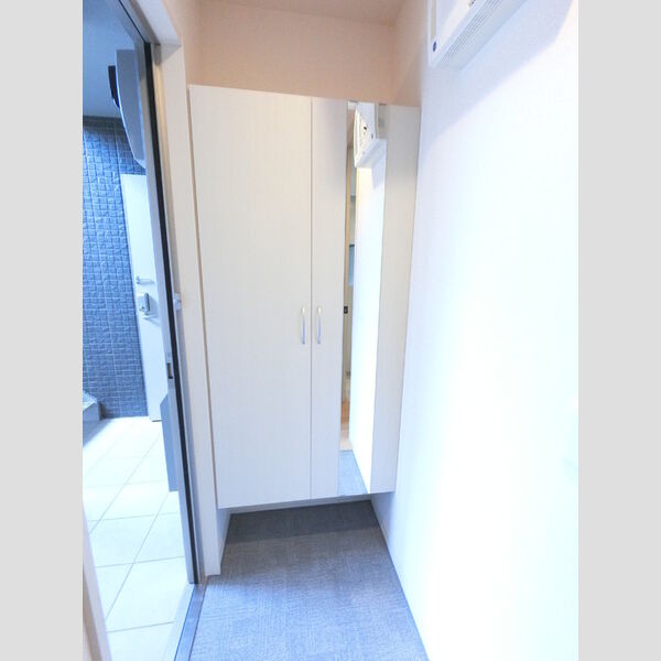 玄関 (広めのBoxは収納力ばっちり。トールタイプのミラーついてます。)