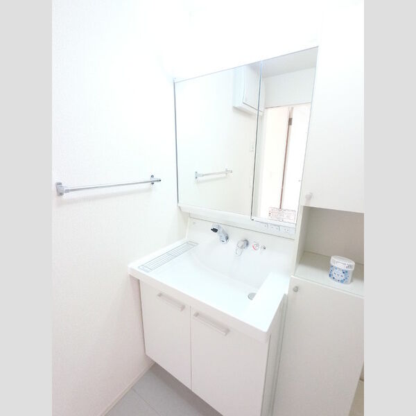 洗面所 (シャワーヘッド付き洗面台です)