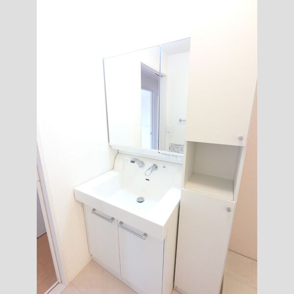 洗面所 (シャワーヘッド付き三面鏡洗面台です)