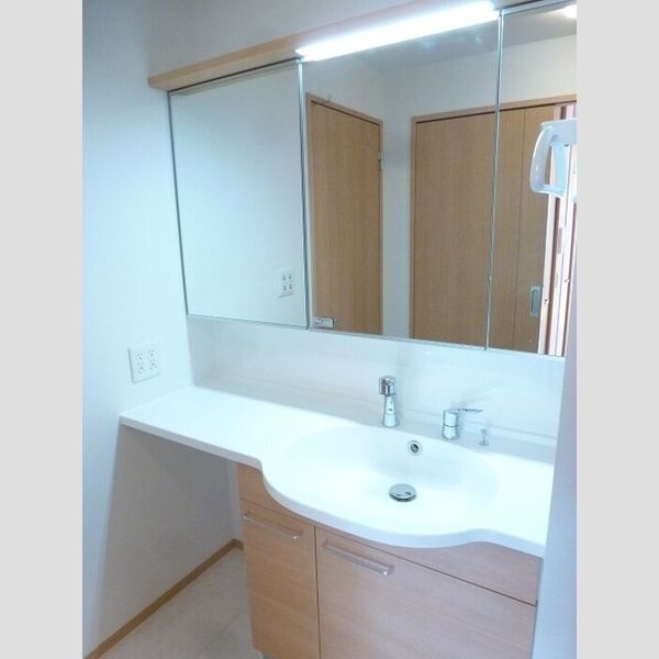 洗面所 (シャワーヘッド付き洗面台です。)