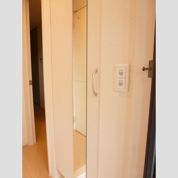 玄関 (トールタイプミラー付シューズボックスです。)