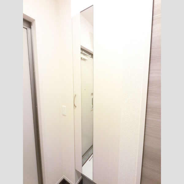 玄関 (広めのBoxは収納力ばっちり。トールタイプのミラーついてます。)