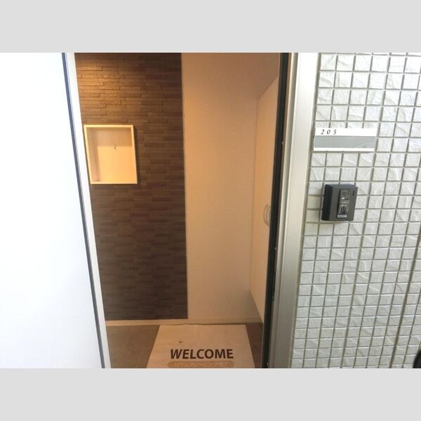 玄関 (調湿・消臭効果のあるエコカラットを採用しています!デザイン性も良いです!)