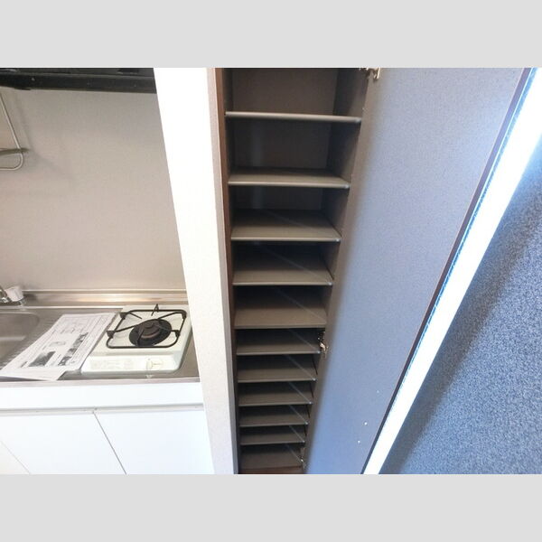 玄関 (シューズボックス)