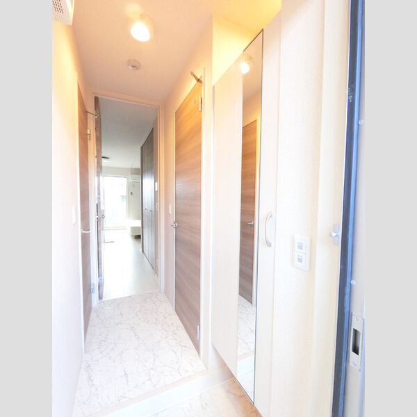 玄関 (広めのBoxは収納力ばっちり。トールタイプのミラーついてます。)