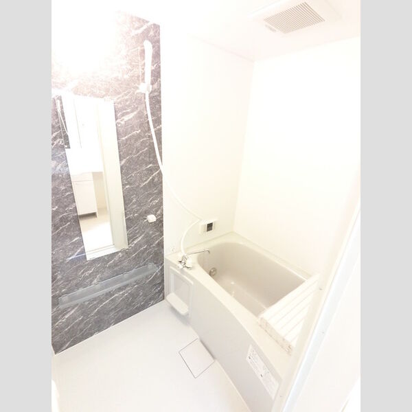 バス (おしゃれな浴室です。)