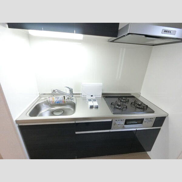 キッチン (システムキッチン(203号室))