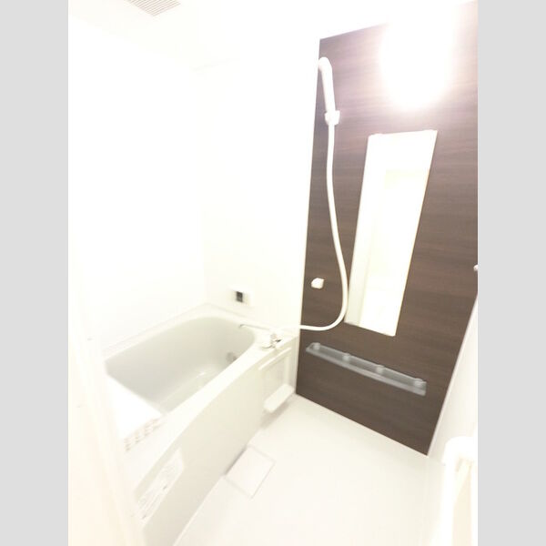 バス (おしゃれな浴室です。)