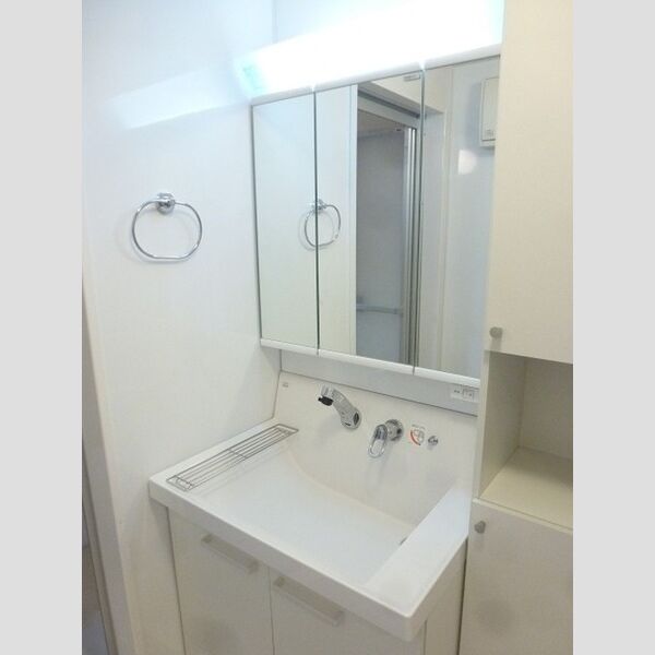 洗面所 (シャワーヘッド付き洗面台です。)
