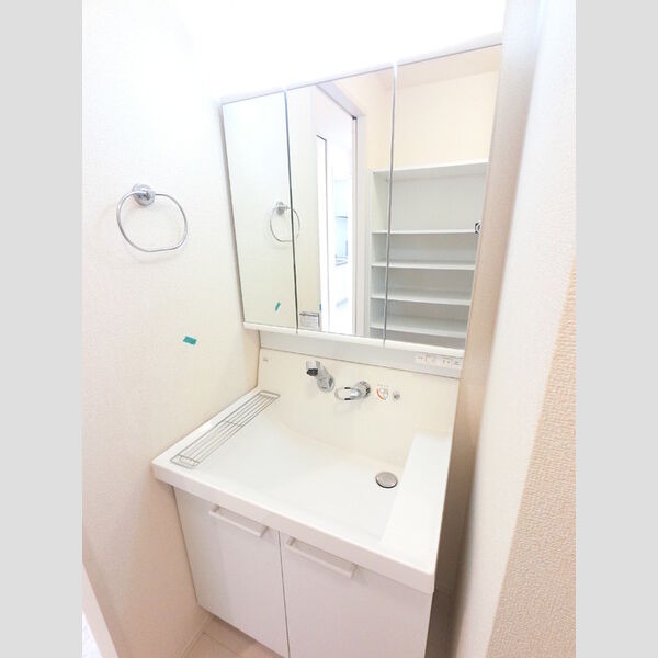 洗面所 (シャワーヘッド付き三面鏡洗面台です)