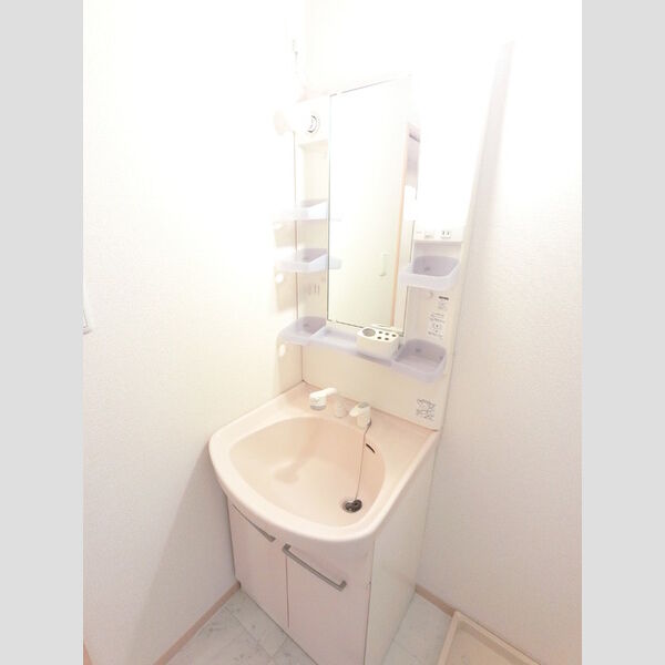 洗面所 (シャワーヘッド付き洗面台です)