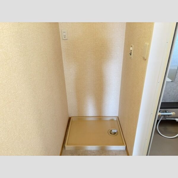 洗面所 (室内洗濯機置き場)