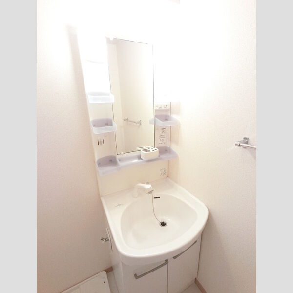 洗面所 (シャワーヘッド付き洗面台です)