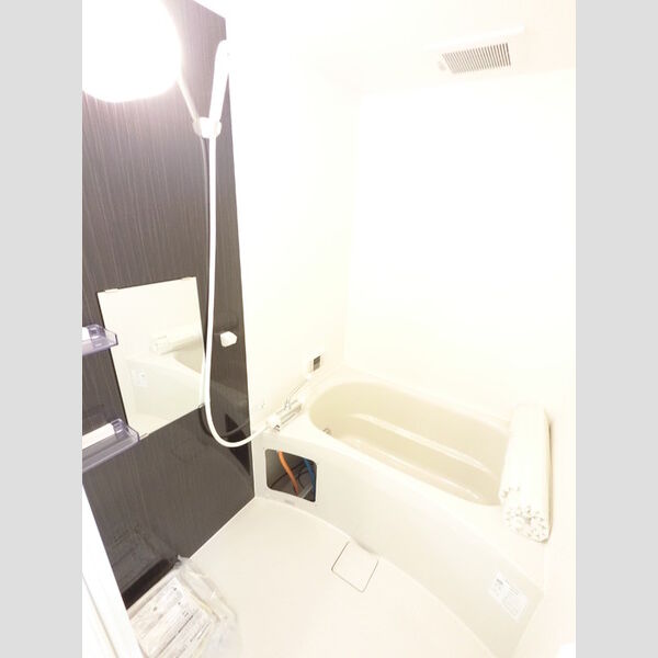 バス (おしゃれな浴室です。)