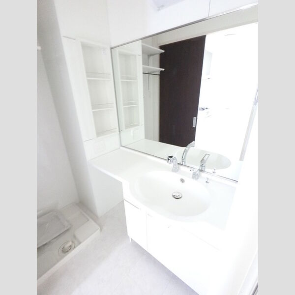 洗面所 (大型一面鏡付カウンター洗面化粧台です。)