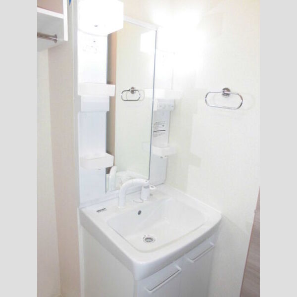 洗面所 (シャワーヘッド付き洗面台です。)