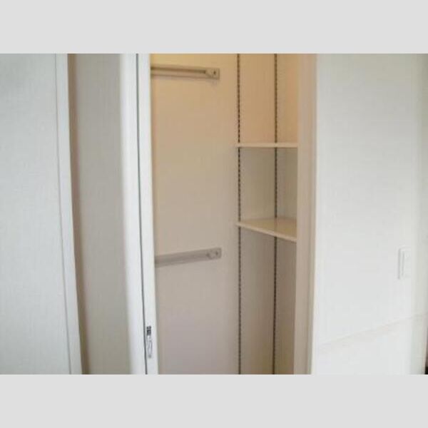 収納 (洋室ワンステップクローゼット2)