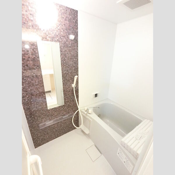 バス (おしゃれな浴室です。)