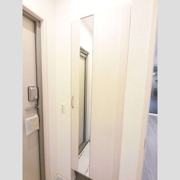 玄関 (広めのBoxは収納力ばっちり。トールタイプのミラーついてます。)