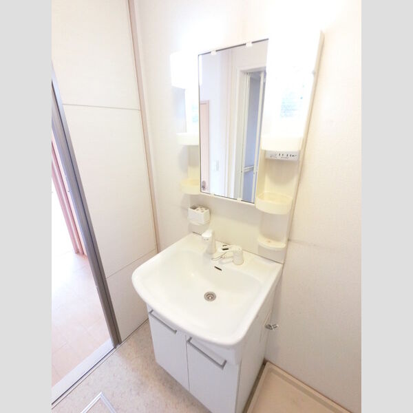 洗面所 (シャワーヘッド付き洗面台です)