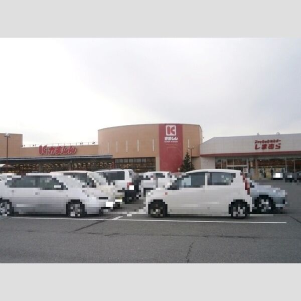 現地周辺 (かましん清原テクノ店(491m))