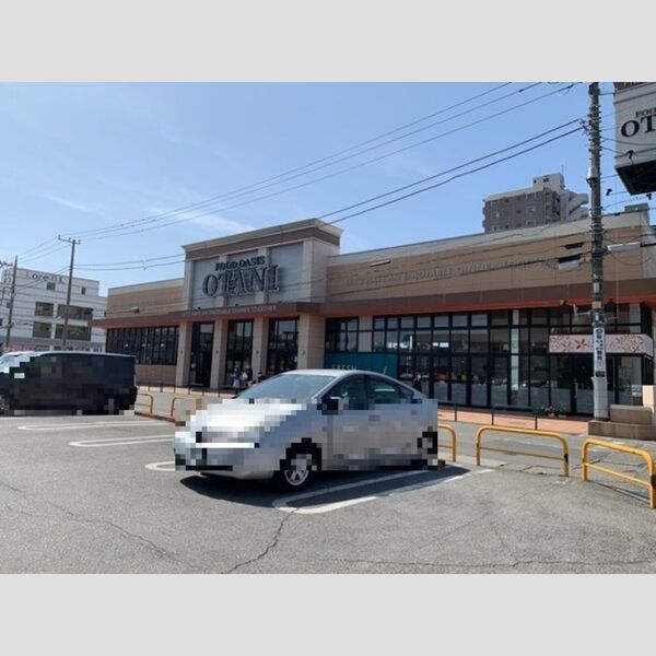 現地周辺 (フードオアシスOTANI宇都宮駅東店(207m))