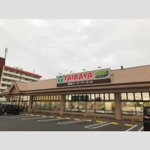 現地周辺 (TAIRAYA真岡荒町店(295m))