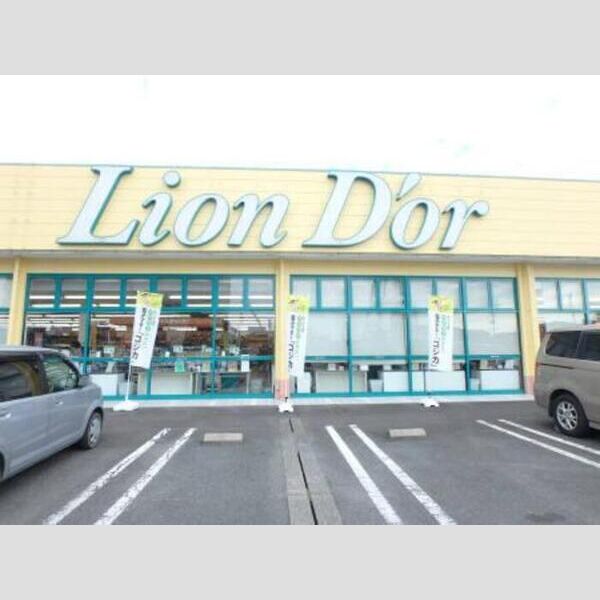 現地周辺 (リオンドール高根沢店(1051m))