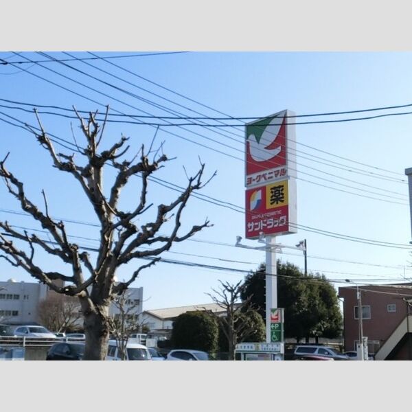 現地周辺 (ヨークベニマル石井店(816m))