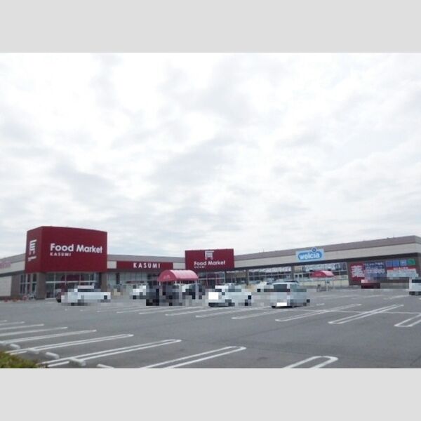 現地周辺 (カスミテクノポリス清原店(593m))