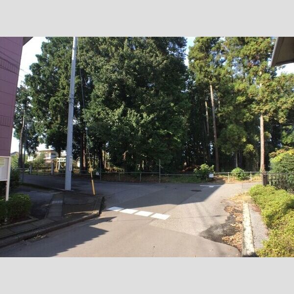 現地周辺 (眺望)