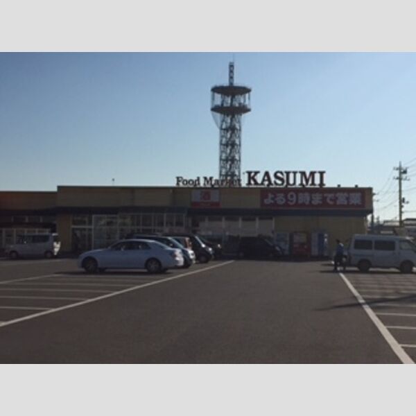 現地周辺 (カスミ二宮店)