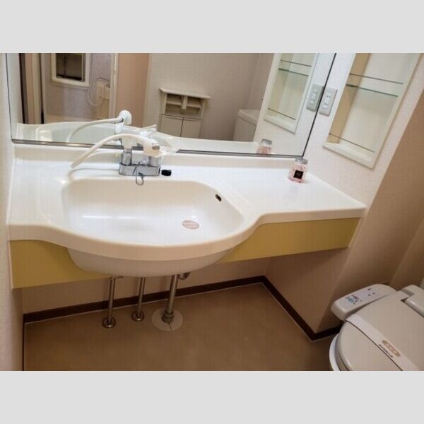 洗面所 (カウンター洗面台)